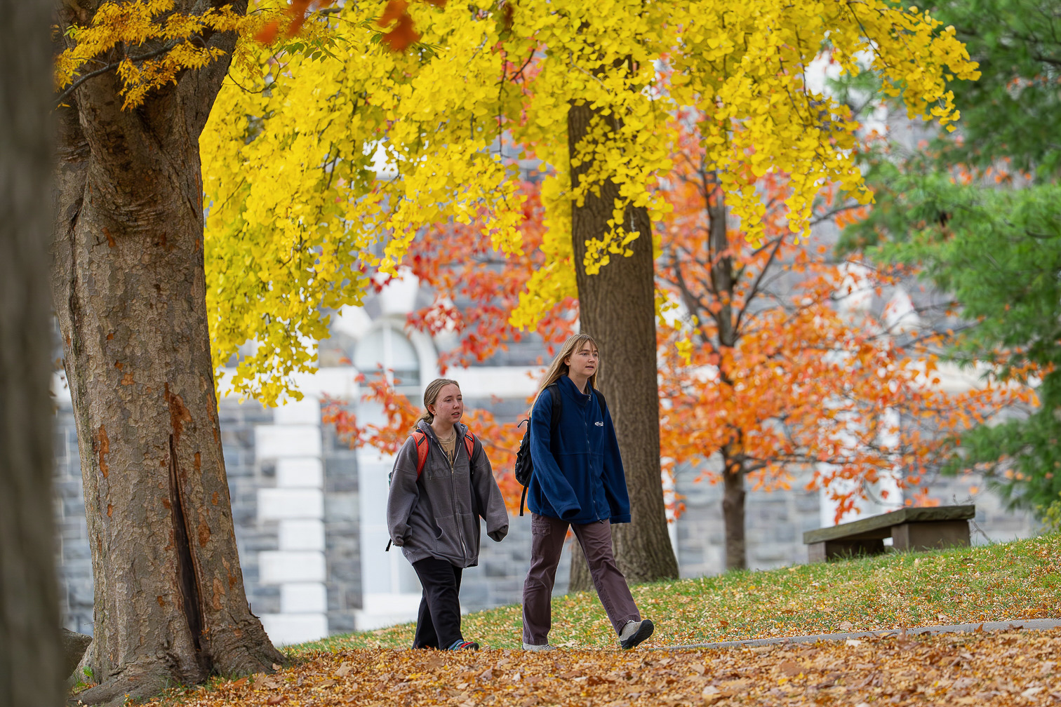 Brilliant Fall